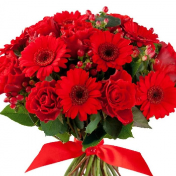 Букет из роз,гербер и гиперикума "Страстный"